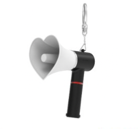 The Boyz Thrill-Ing Official MD - Lightstick Keyring