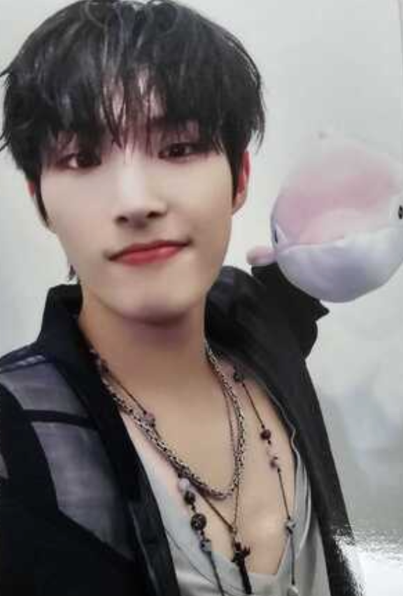 ATEEZ Golden Hour - Official Pob Photocards